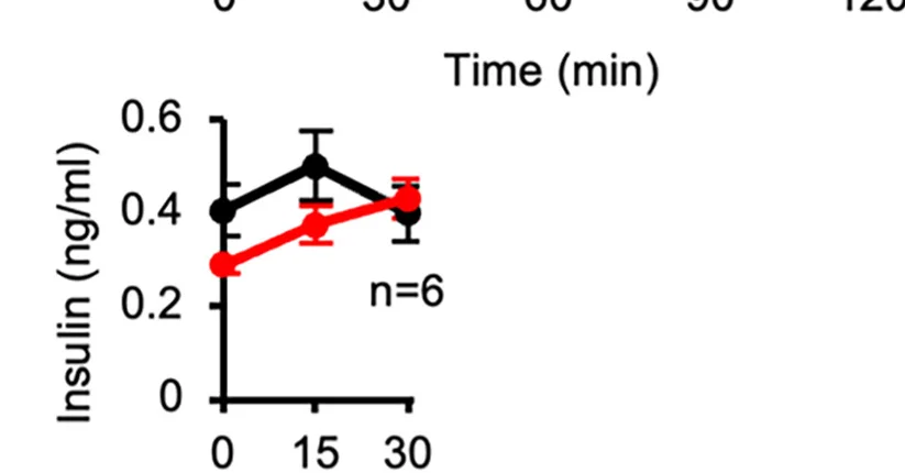 Open access visualization of Line Plot, Error Bars, Glucose-Stimulated Insulin Secretion, WT Mice, Lamp2b-Tg Mice