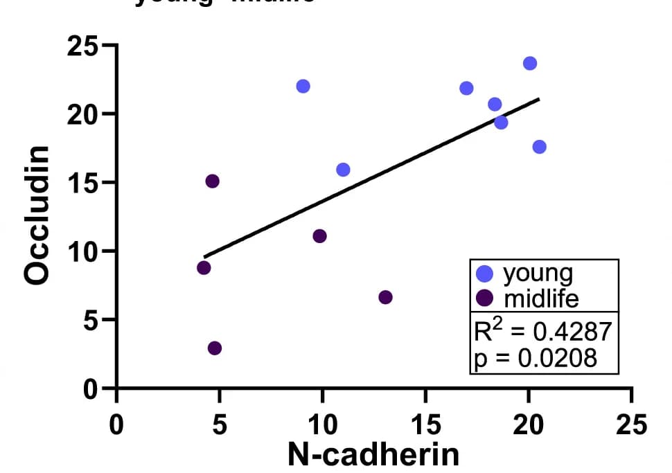 Open access visualization of Scatter Plot, Regression Plot, Correlation, N-cadherin, Occludin