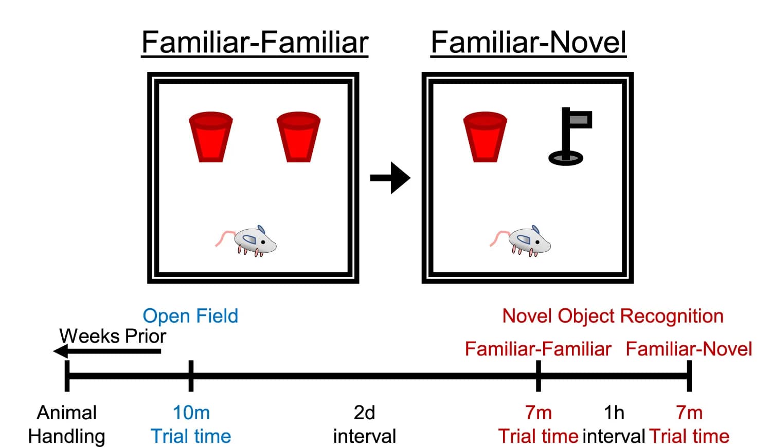 Open access visualization of Workflow, Illustration, Novel Object Recognition, Non-Spatial Memory, Open Field Test