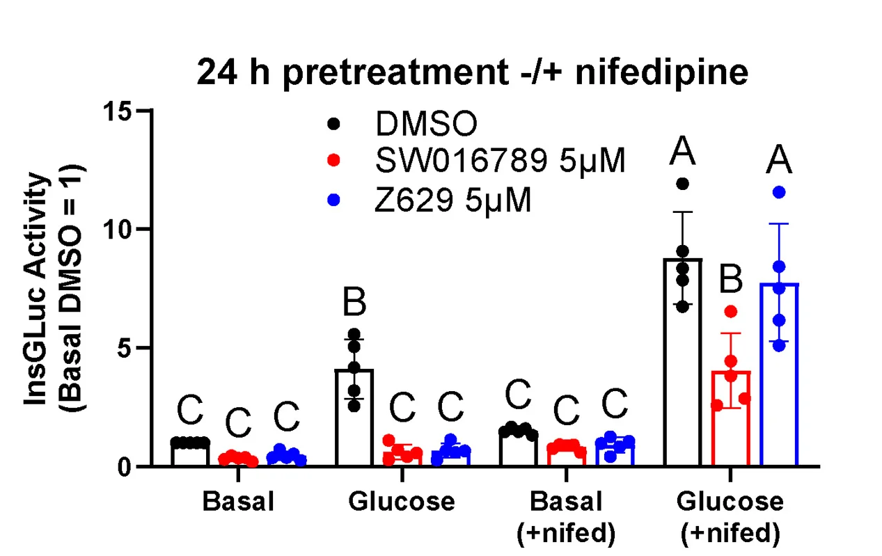 Open access visualization of Bar Plot, Error Bars, Scatter Plot, InsGLuc Secretion Assay, Beta Cells