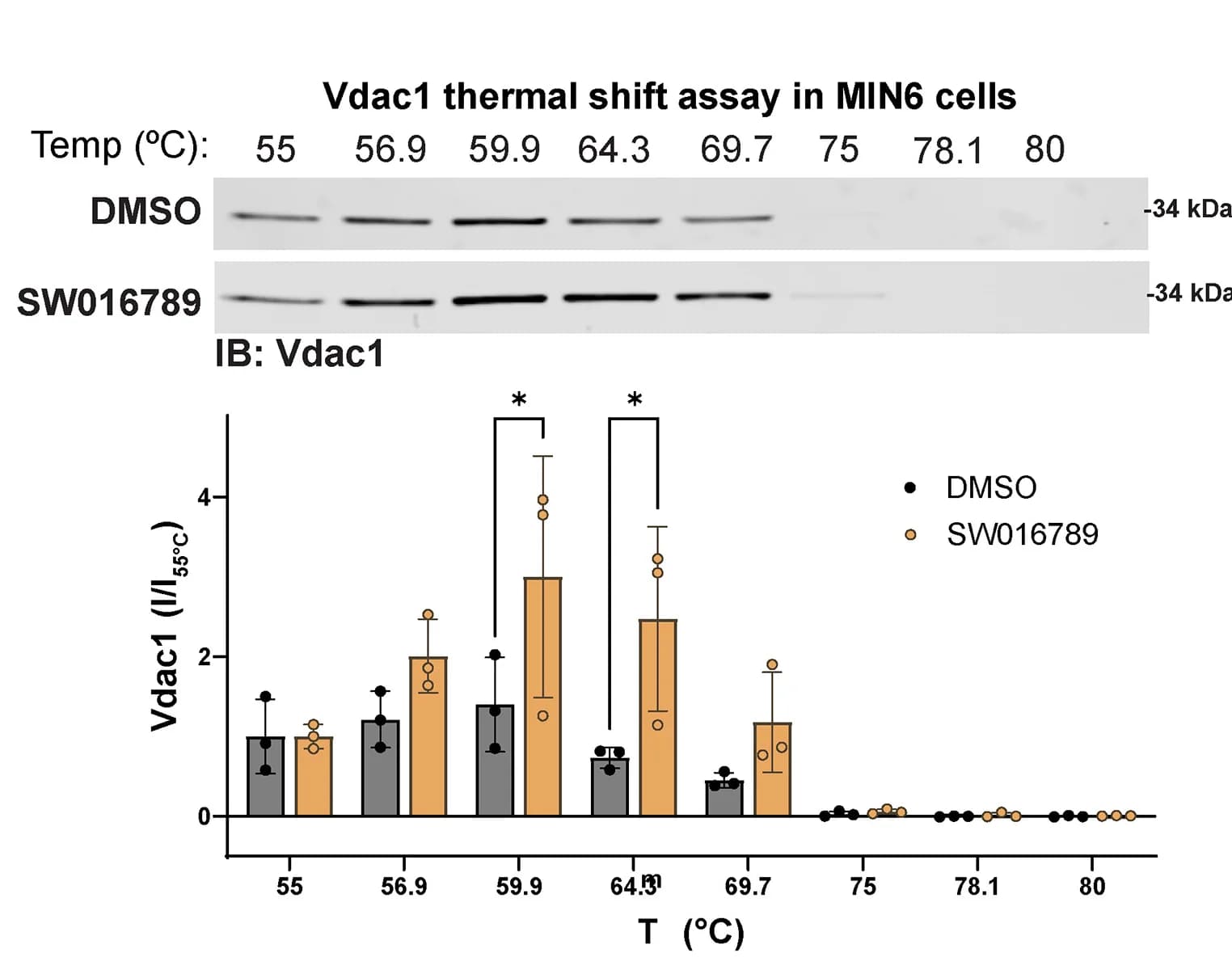 Open access visualization of Bar Plot, Scatter Plot, Error Bars, VDAC1, Immunoblot