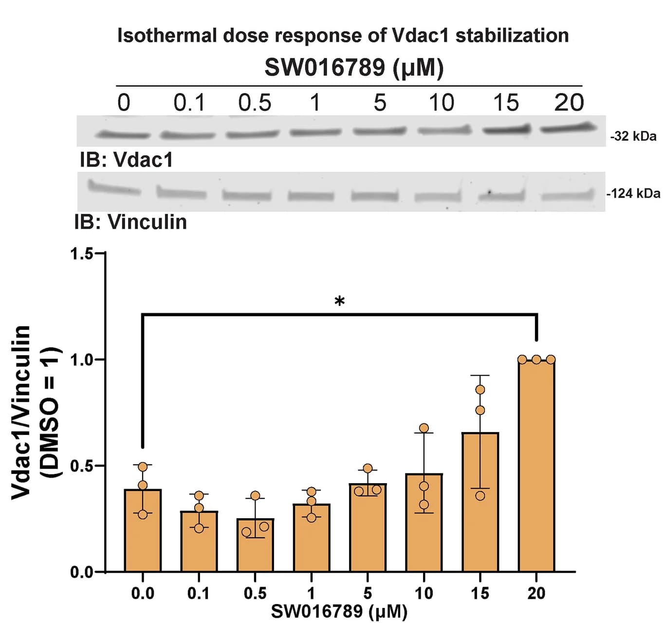 Open access visualization of Bar Plot, Error Bars, Gel, Isothermal Dose-Response, CETSA