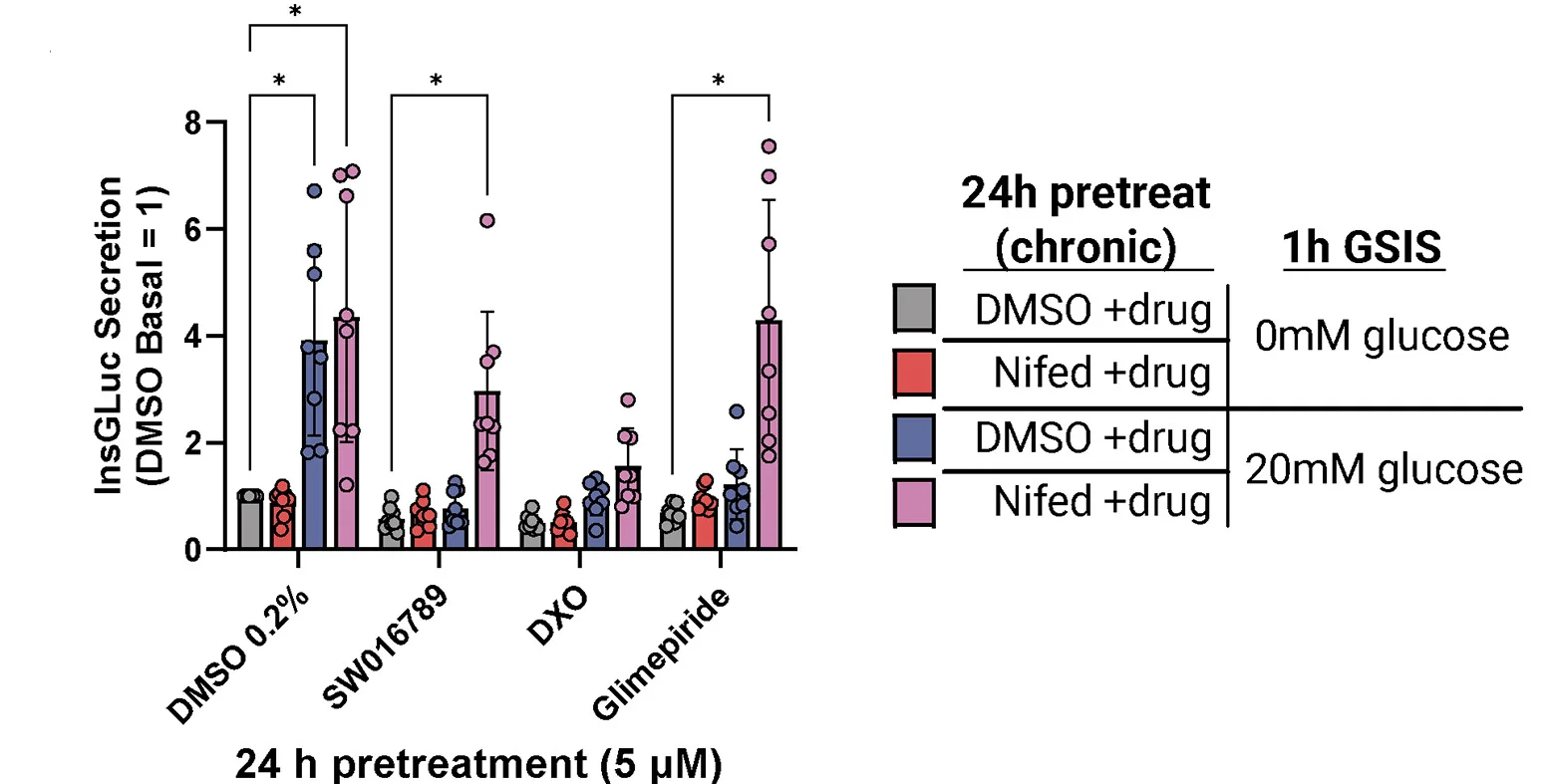 Open access visualization of Bar Plot, Error Bars, Clustered, Glucose-Stimulated Insulin Secretion, InsGLuc-MIN6 Cells