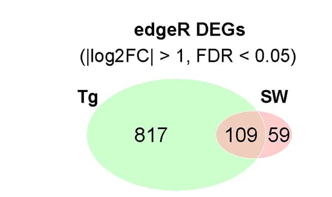 Open access visualization of Venn Diagram, Time-Course, EdgeR Analysis, Differentially Expressed Genes, Tg