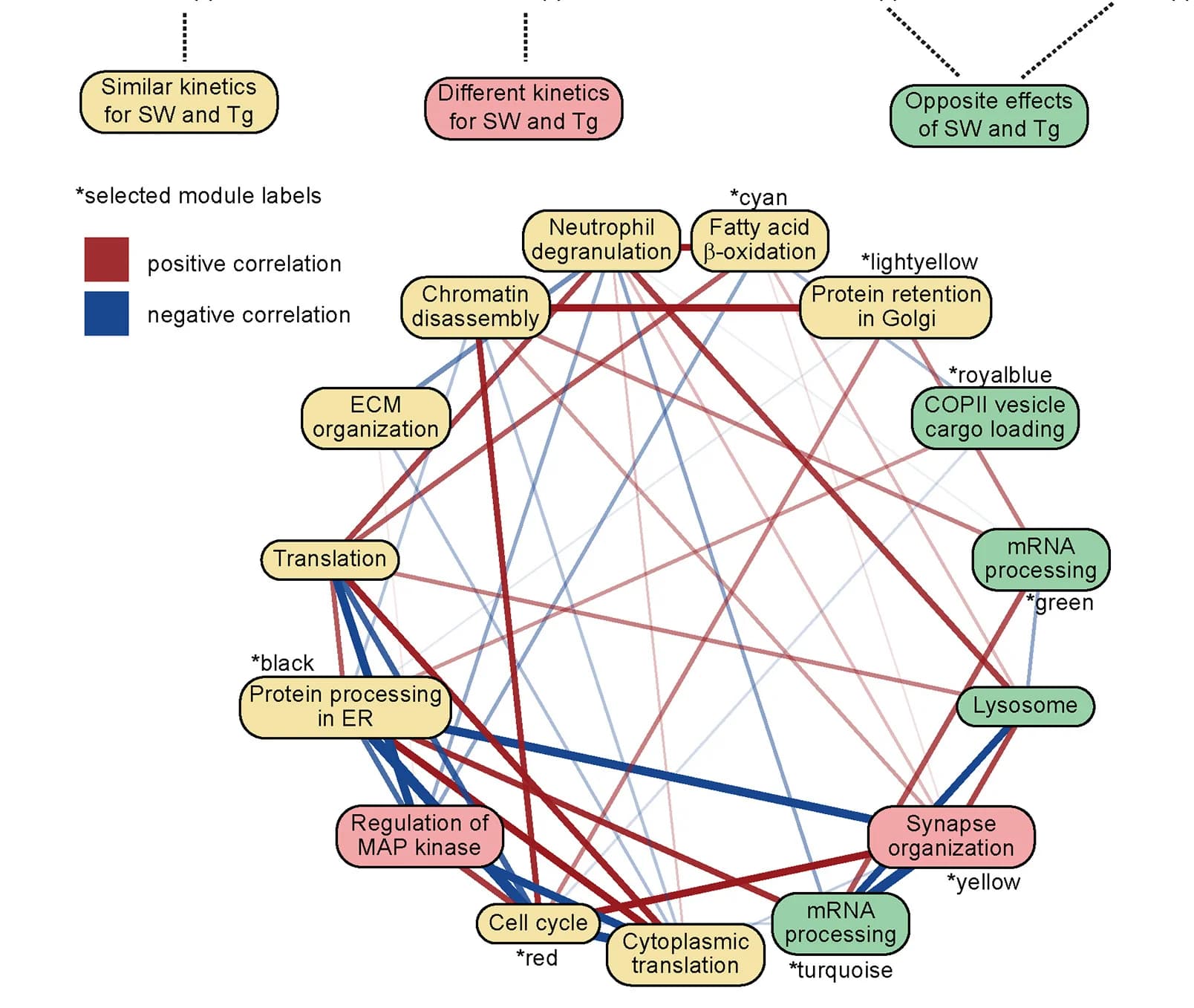 Open access visualization of Network, Pathway, Directed Network Analysis, Module Eigengenes, Ontology