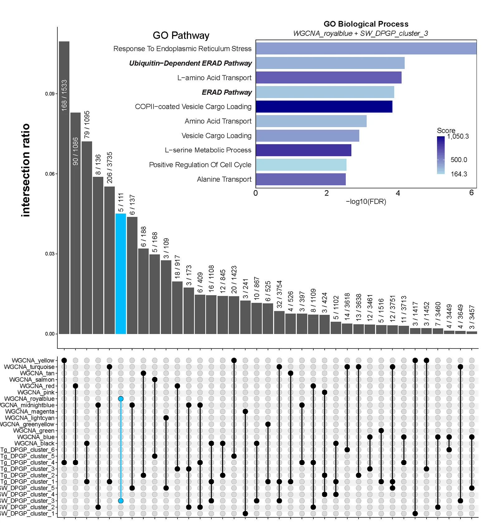 Open access visualization of Bar Plot, Clustered, UpSet Plot, WGCNA Modules, DPGP Clusters