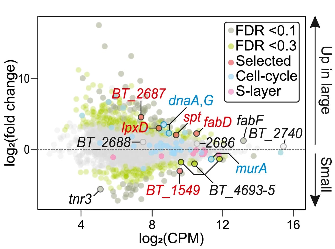 Open access visualization of Volcano Plot, Scatter Plot, Mean Difference Plot, Differentially Expressed Genes, Large Cells