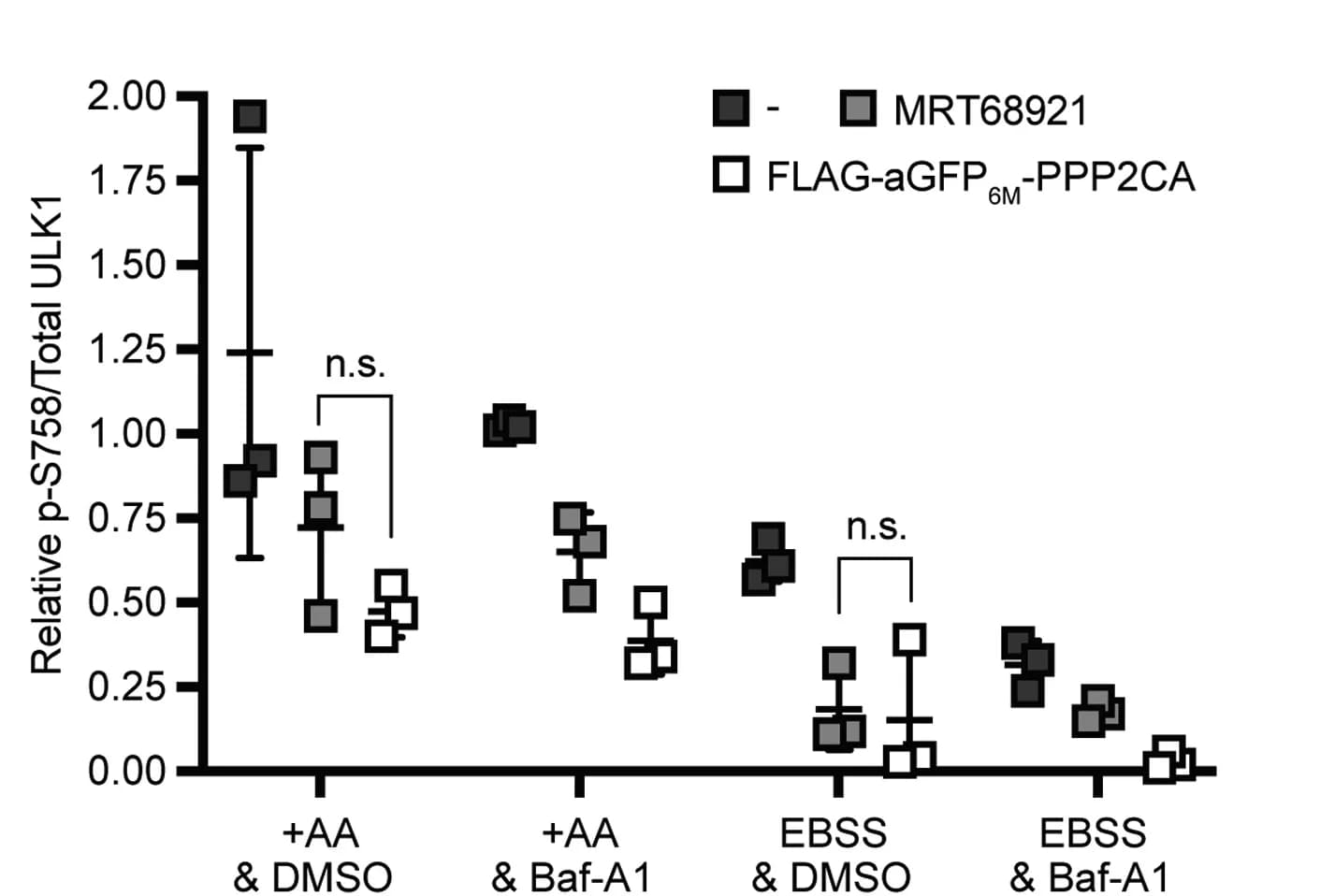 Open access visualization of Scatter Plot, Error Bars, Phosphorylation, p-S758 ULK1, ULK1 Protein Levels