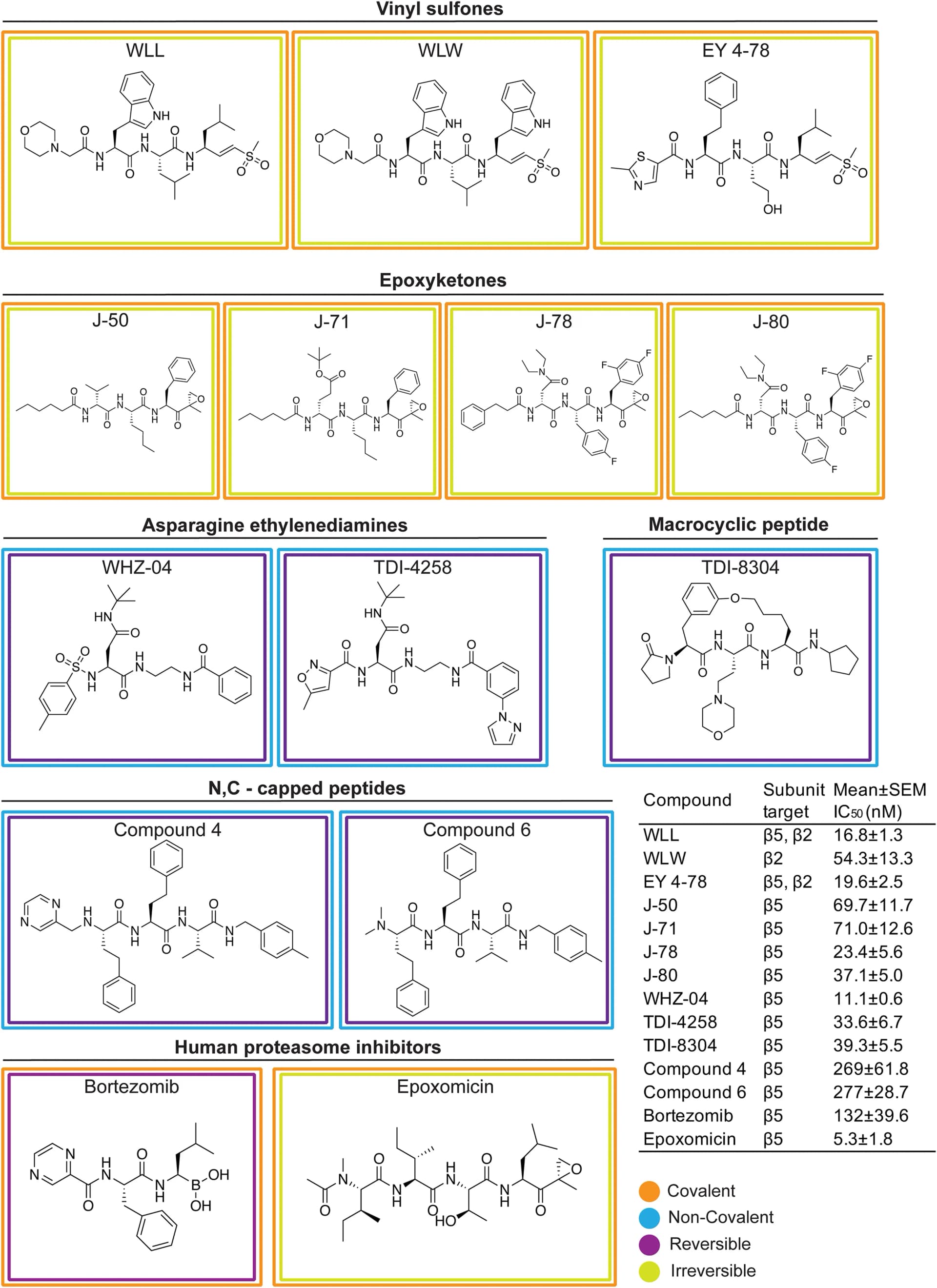 Open access visualization of Chemical Structure, Table Image, Proteasome Inhibitors, Plasmodium, Binding Properties