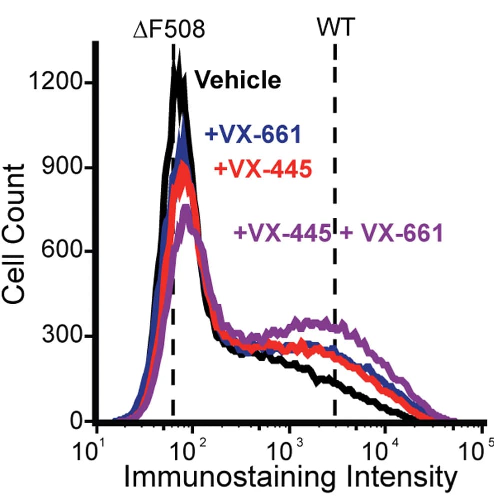 Open access visualization of Line Plot, Density Plot, CFTR, HEK293T Cells, Immunostaining
