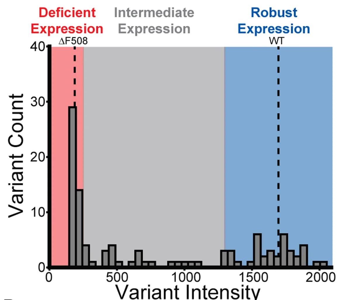 Open access visualization of Histogram, Surface Immunostaining Intensities, Missense Variants, Indel Variants, Vehicle