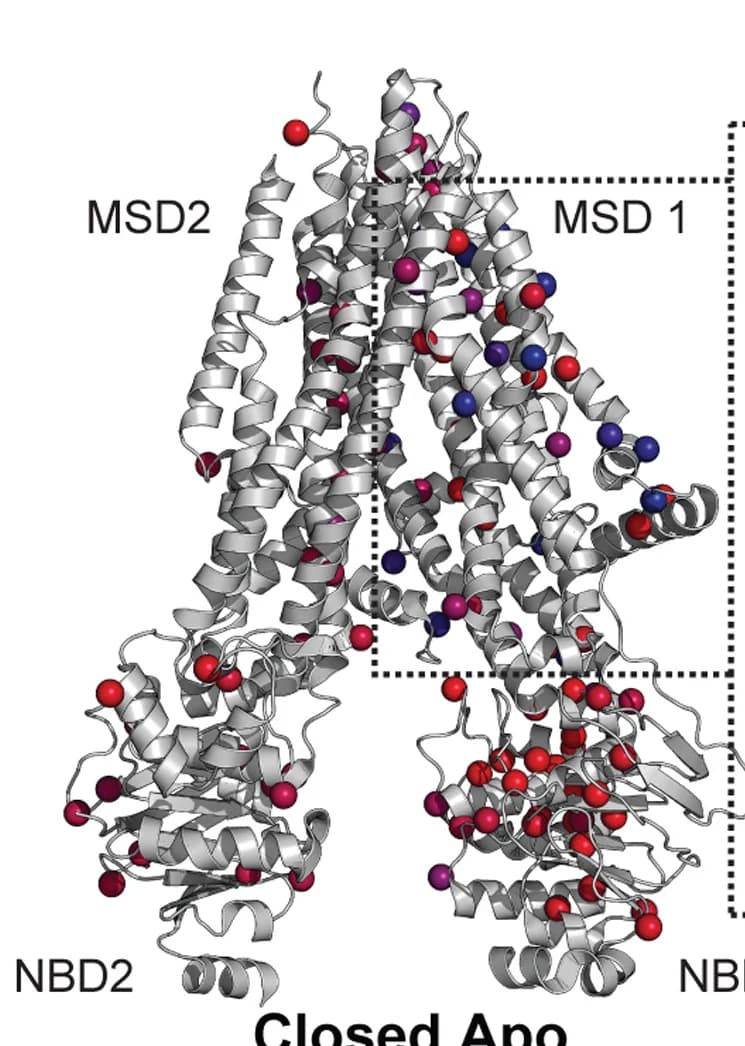 Open access visualization of Protein Structure, Fold-change, Intensity values, Variants, VX-661