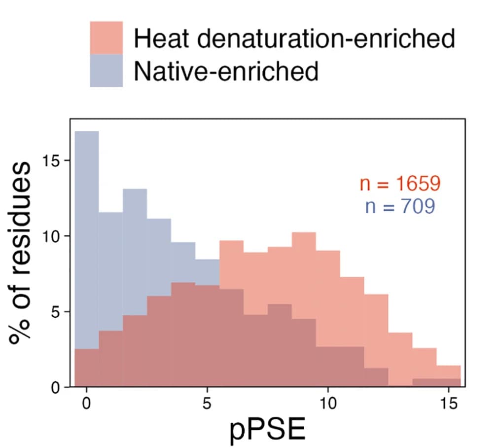 Open access visualization of Histogram, Heat Denaturation, Cysteines, Accessibility, Residues