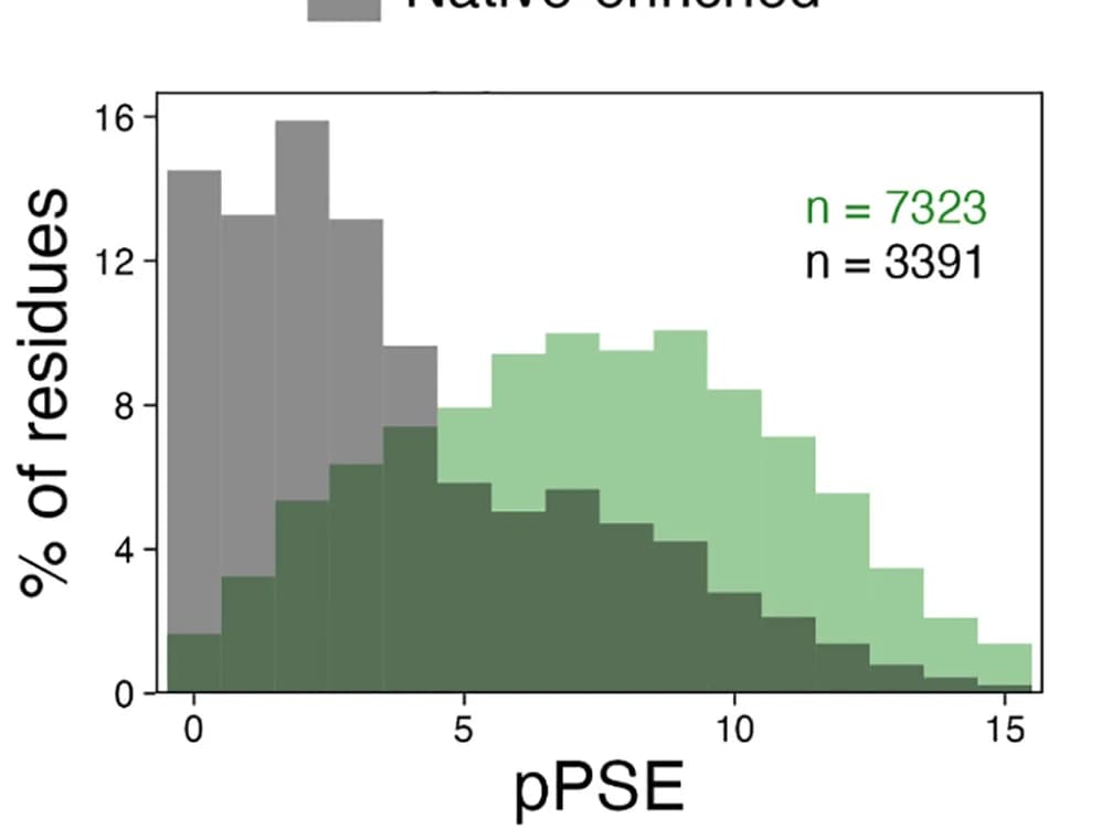 Open access visualization of Histogram, Detergent Denaturation, Cysteines, Accessibility, Residues