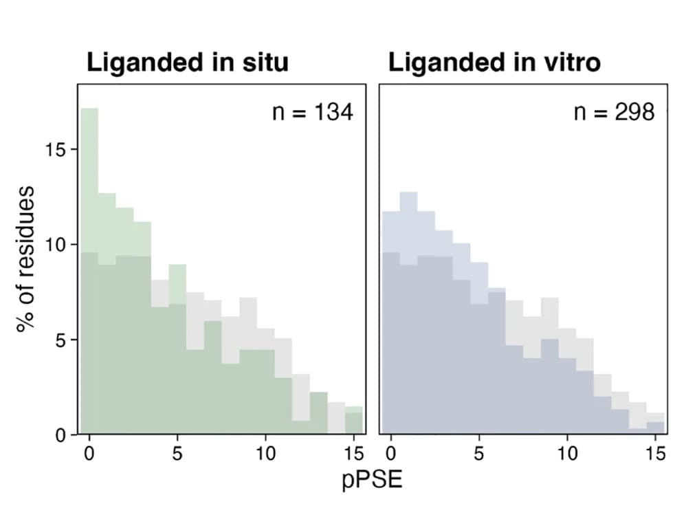 Open access visualization of Histogram, Covalent fragment, Cysteines, Non-liganded residues, Drug treatment