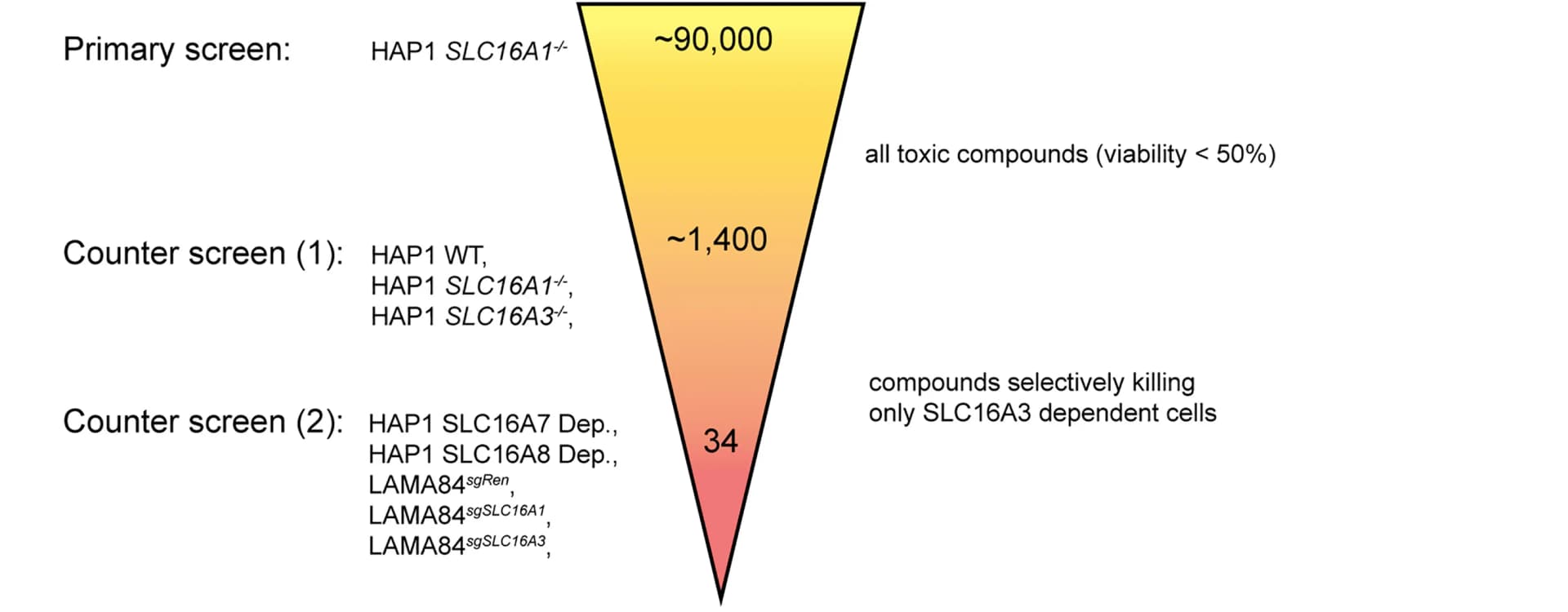 Open access visualization of Workflow, Flowchart, SLC16A3, Chemical Screening, Cell Lines