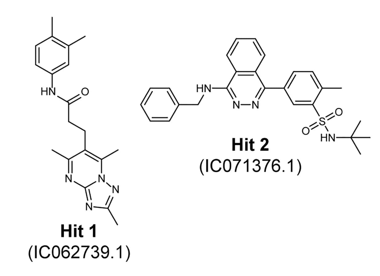 Open access visualization of Chemical Structure, Chemical Structures, Triazolopyrimidine, Phthalazine, Scaffolds