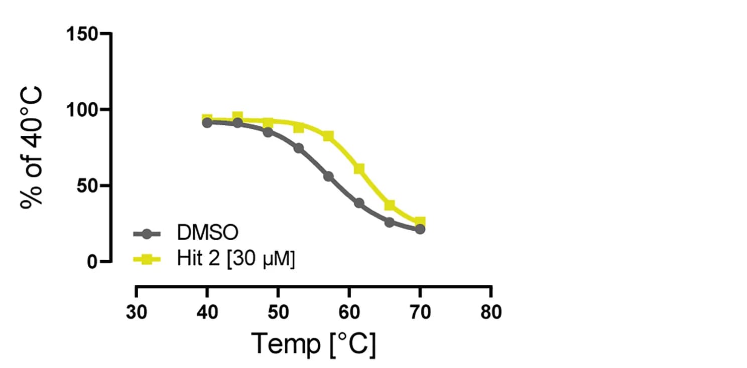 Open access visualization of Line Plot, Thermal Shift Assay, HEK293T Cells, HiBiT-SLC16A3, Hit 2