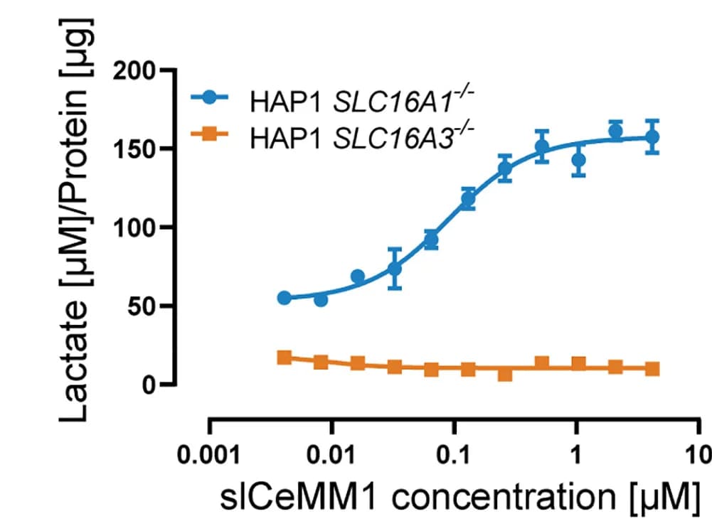 Open access visualization of Line Plot, Error Bars, Treatment, Intracellular Lactate, Cell Lines