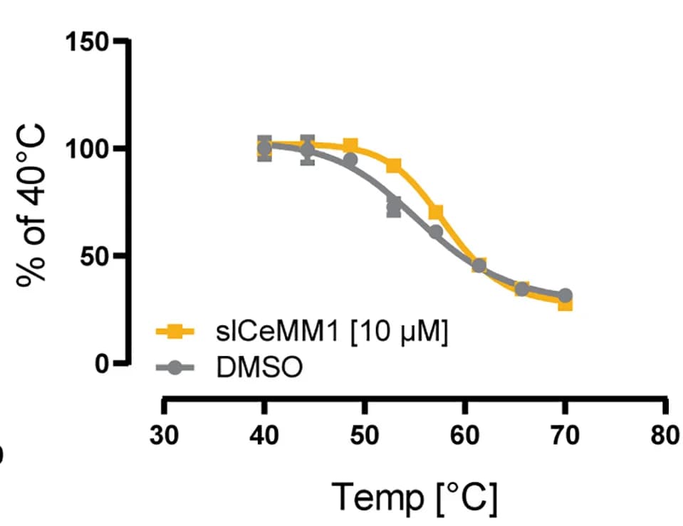 Open access visualization of Line Plot, Error Bars, Thermal Shift Assay, Cell Lysates, Treatment