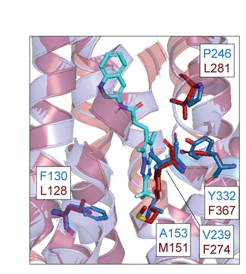 Open access visualization of Protein Structure, Chemical Structure, Homology Model, CryoEM Structure