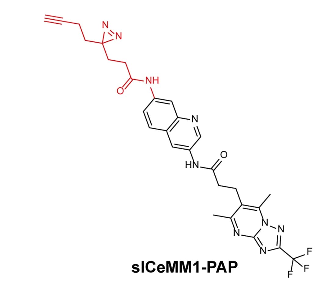 Open access visualization of Chemical Structure, slCeMM1-PAP