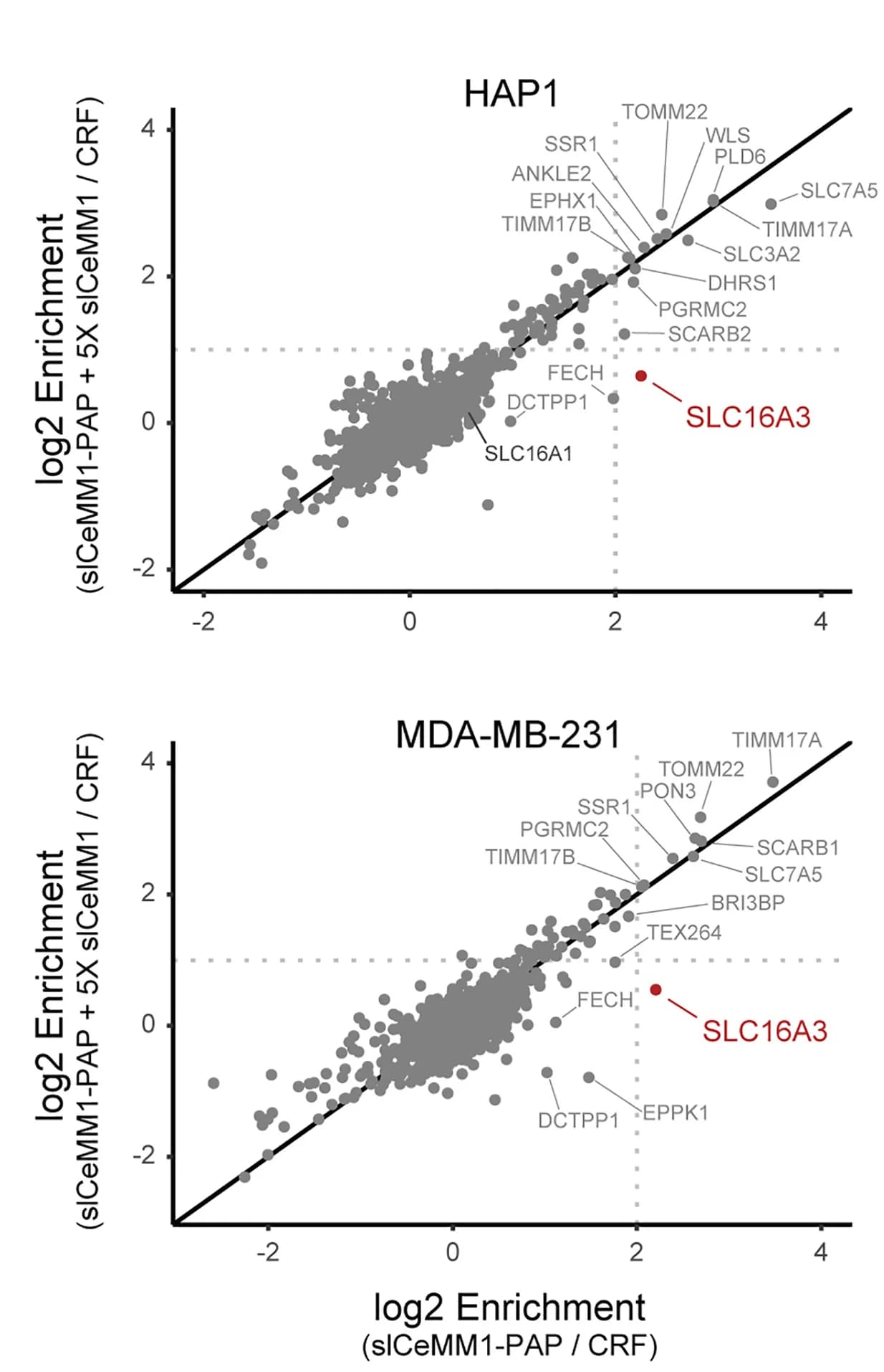 Open access visualization of Scatter Plot, Volcano Plot, Protein Enrichment, slCeMM1-PAP, slCeMM1