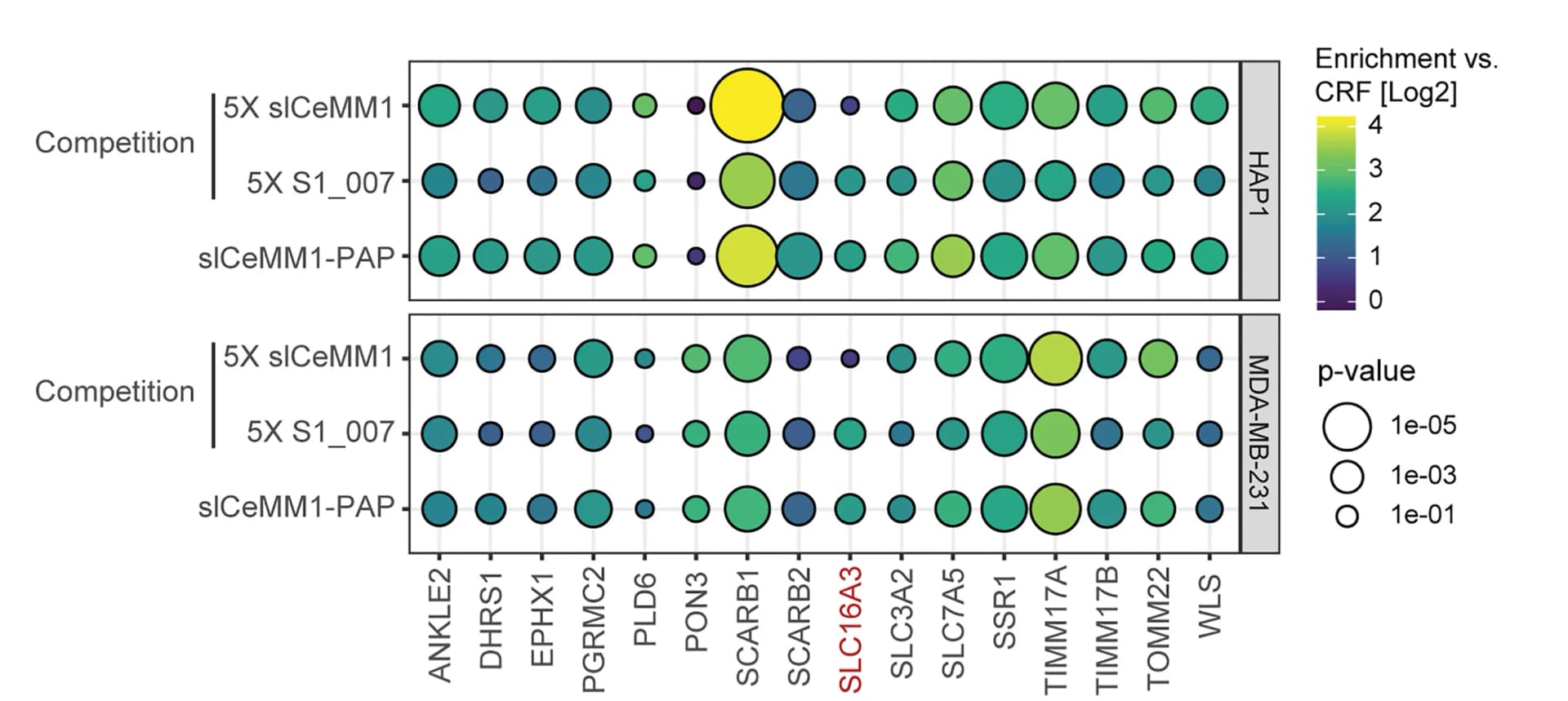 Open access visualization of Bubble Plot, Protein Abundance, slCeMM1-PAP, CRF, ANOVA