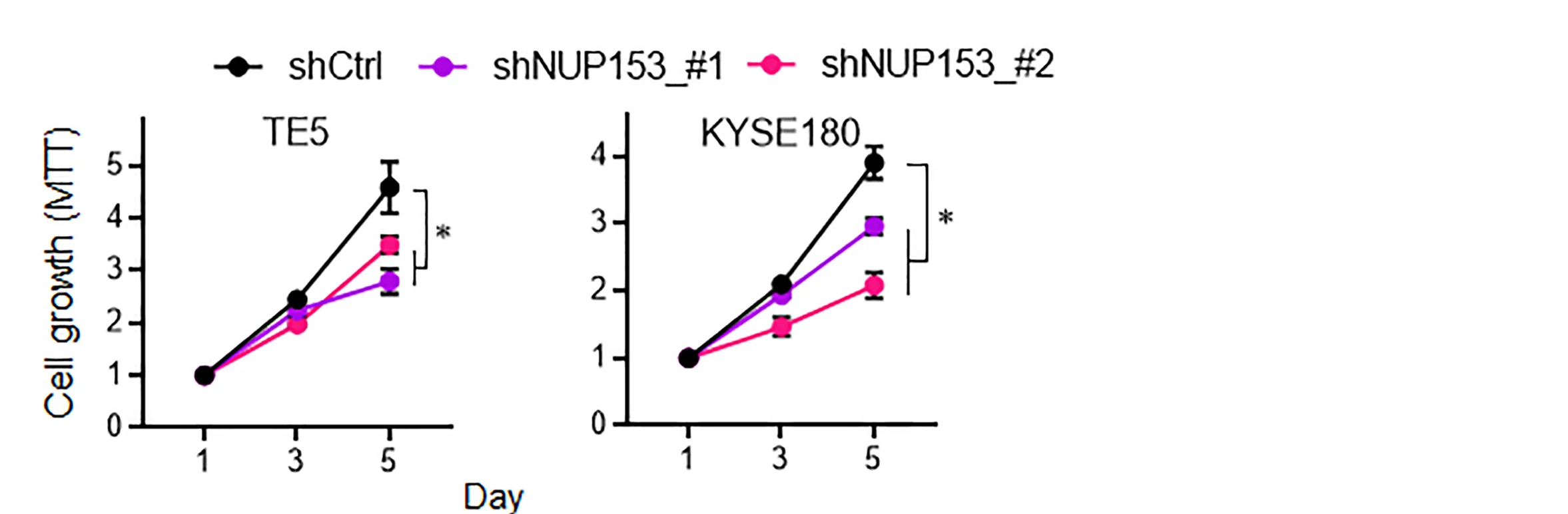 Open access visualization of Line Plot, Error Bars, Proliferation, NUP153-silenced SCC Cells, MTT Assay