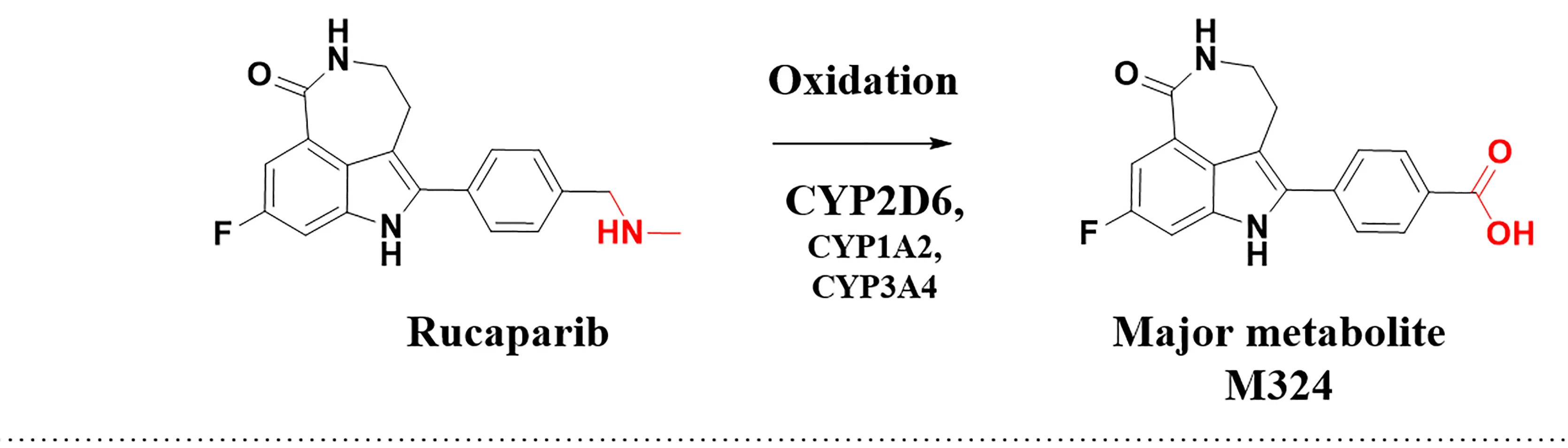 Open access visualization of Chemical Structure, Cytochrome P450, Oxidative Deamination, Rucaparib, Metabolite M324