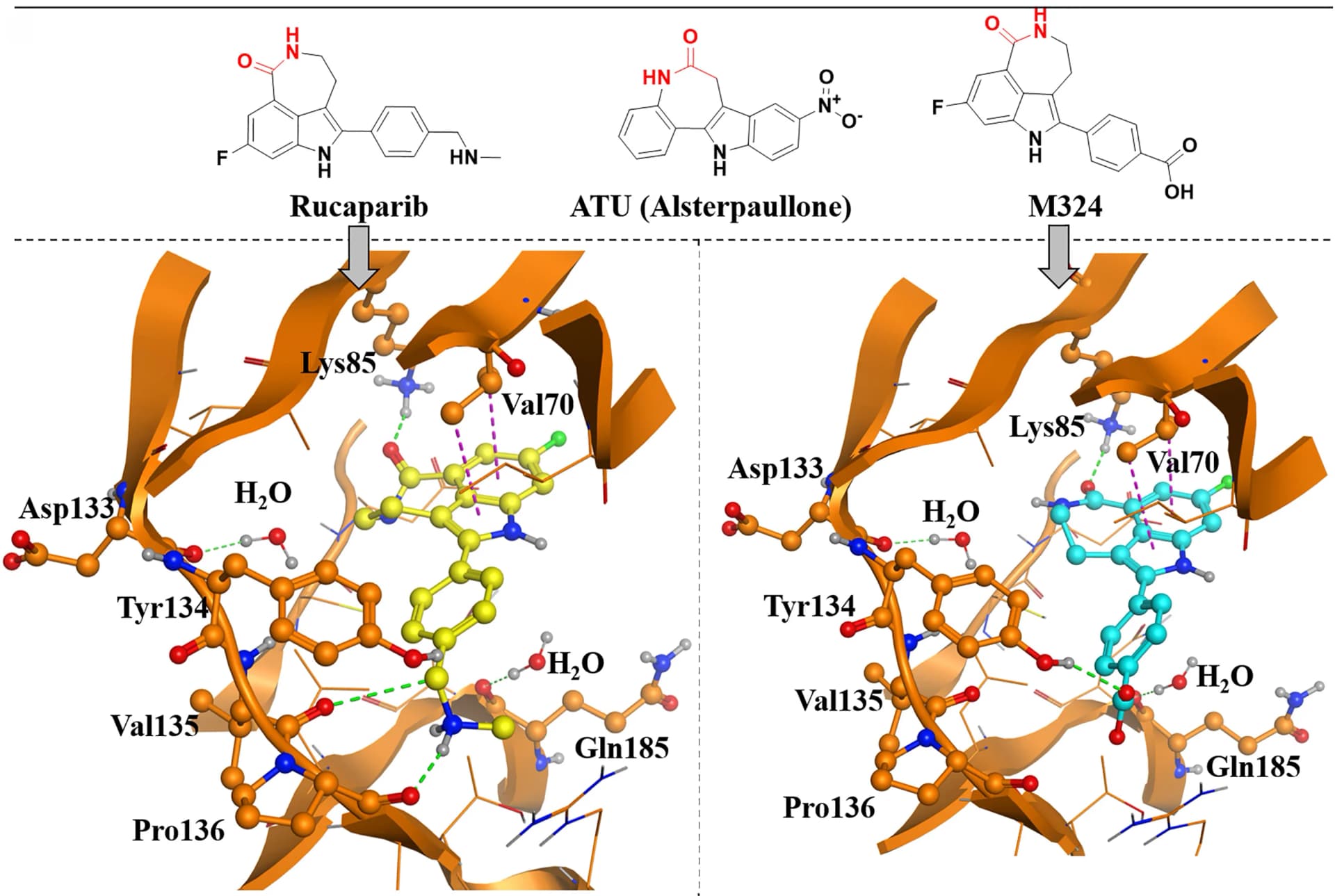 Open access visualization of Protein Structure, Chemical Structure, Rucaparib, M324, GSK3B Kinase