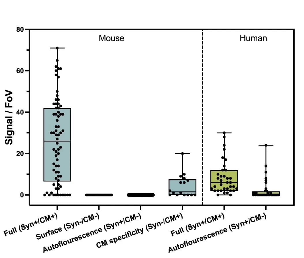 Open access visualization of Box Plot, Scatter Plot, SiMPull Surface, Synaptosomes, Auto-Fluorescent