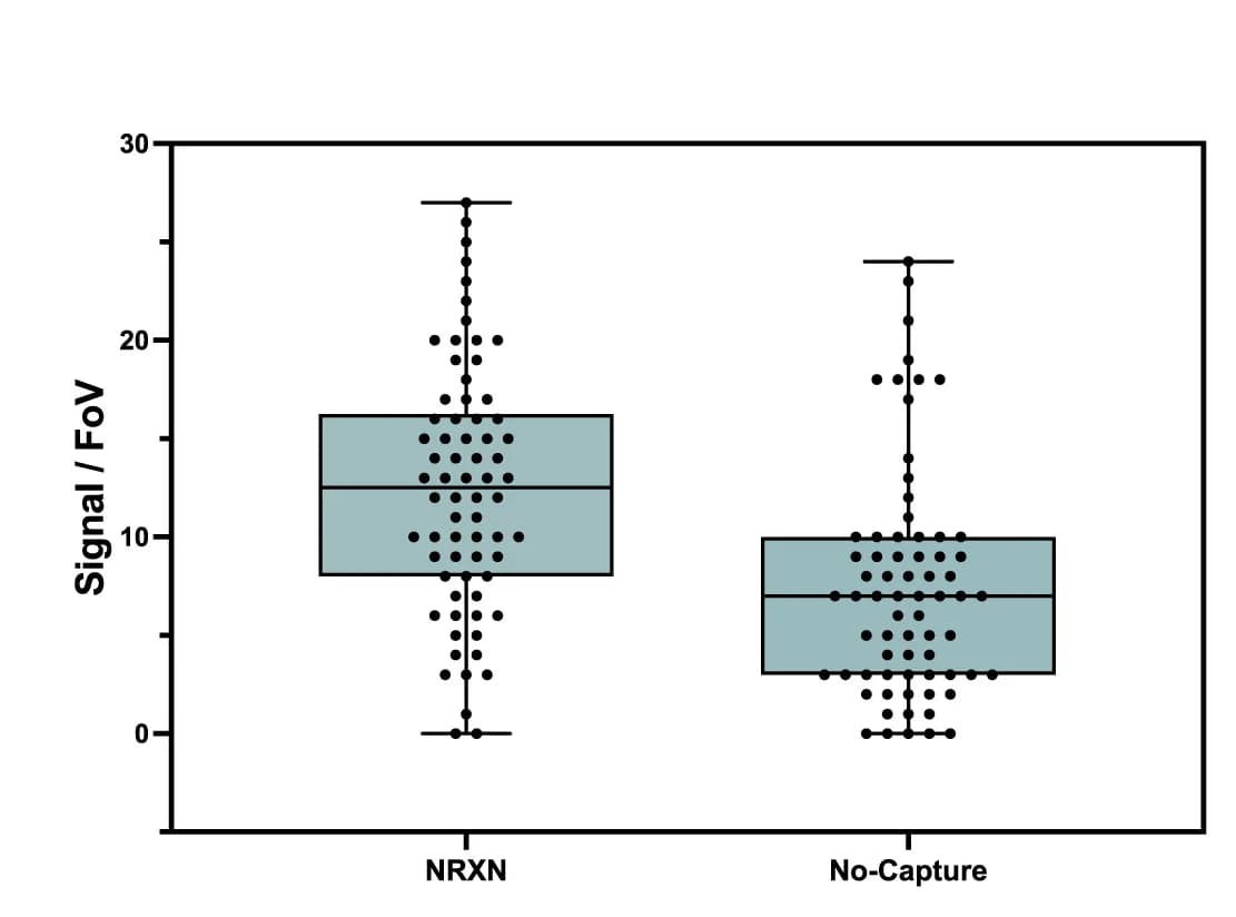 Open access visualization of Box Plot, Scatter Plot, Bassoon, Anti-Neurexin, Synaptosomes