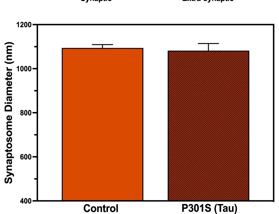 Open access visualization of Bar Plot, Error Bars, Synaptosome Diameter, Synaptic Aggregates, Extra-Synaptic Aggregates