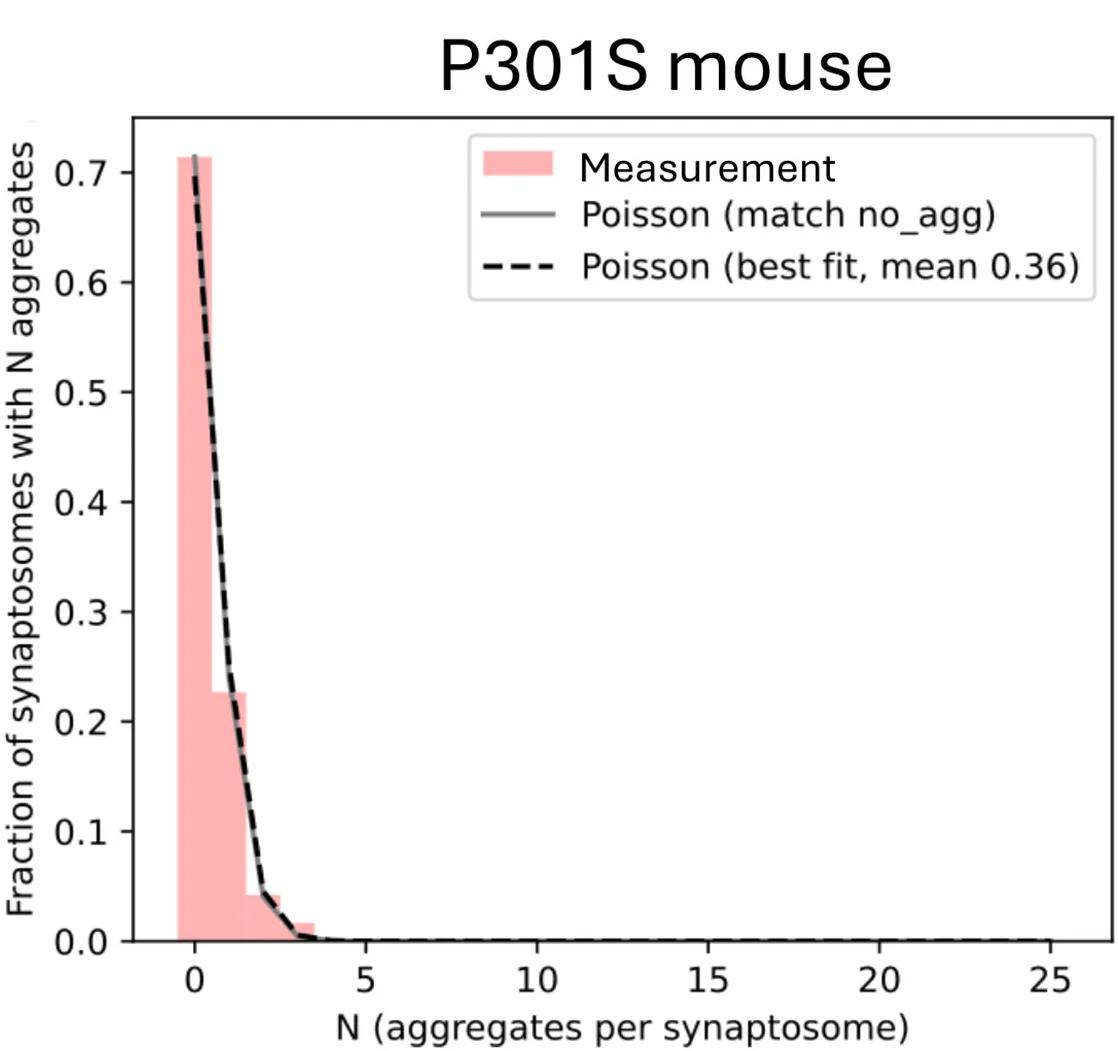 Open access visualization of Line Plot, Bar Plot, Aggregate, Synaptosome, Human