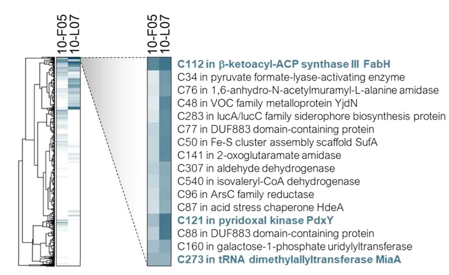 Open access visualization of Heatmap, Clustered, Heatmap Analysis, Protein Targets, 10-F05