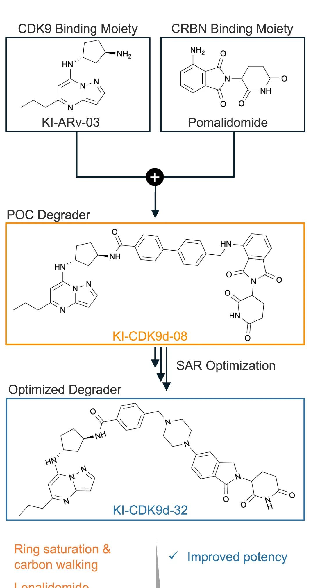 Open access visualization of Workflow, Chemical Structure, KI-CDK9d-32, KI-ARv-03, Pomalidomide