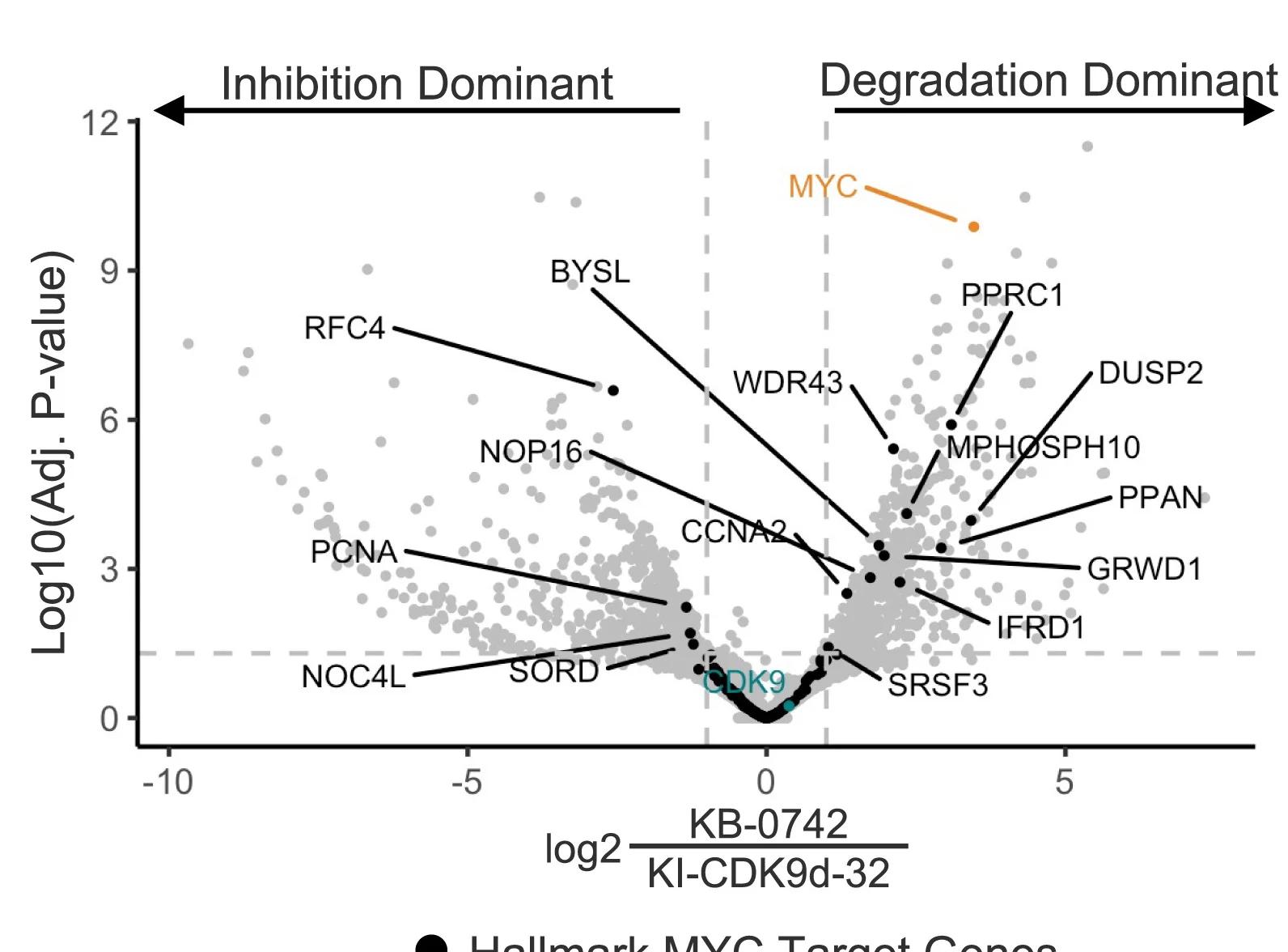 Open access visualization of Volcano Plot, Scatter Plot, RNA Sequencing, Transcript Levels, KB-0742