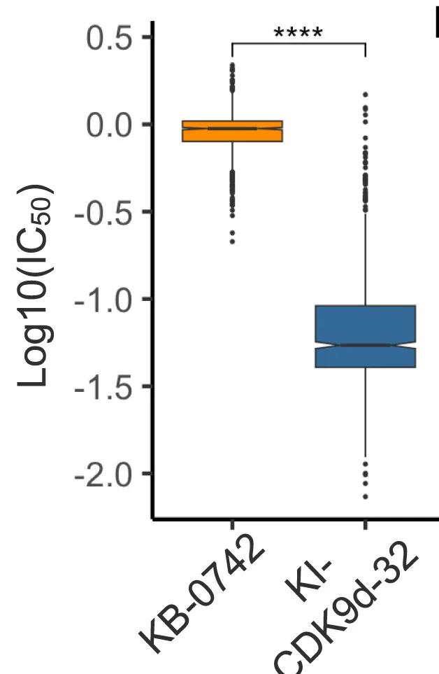 Open access visualization of Box Plot, IC50 Values, Cell Lines, PRISM Platform, Compound Screening