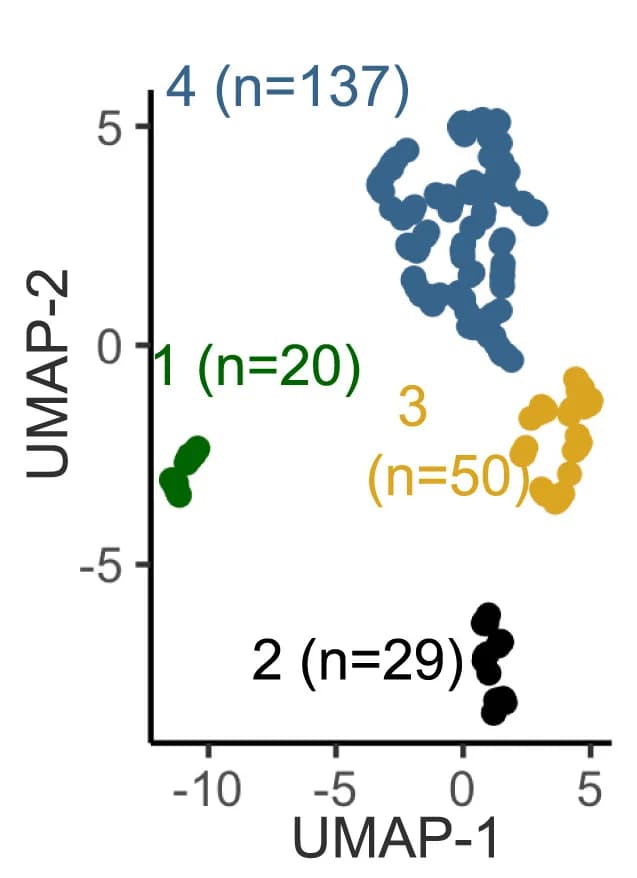 Open access visualization of Scatter Plot, UMAP, Dimensionality Reduction, HDBSCAN, Cell Lines