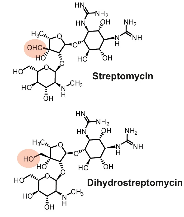 Open access visualization of Chemical Structure, SM, DSM