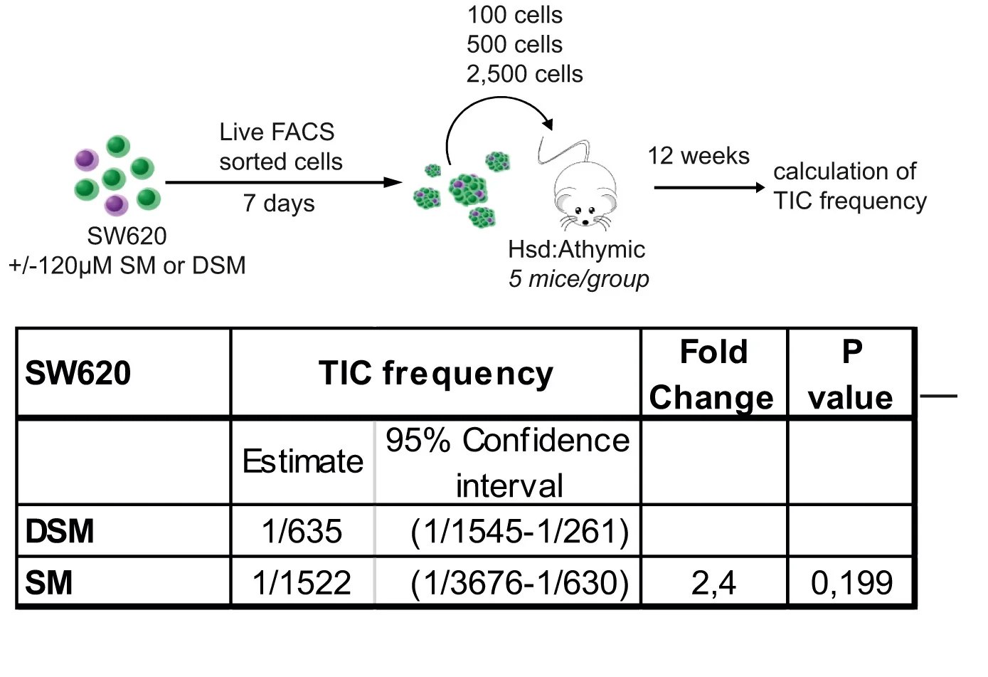 Open access visualization of Workflow, Table Image, Cancer-initiating Cell Frequencies, ELDA, In Vivo