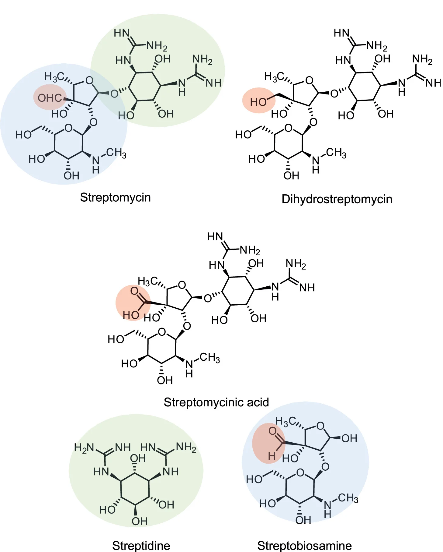 Open access visualization of Chemical Structure, SM Derivatives