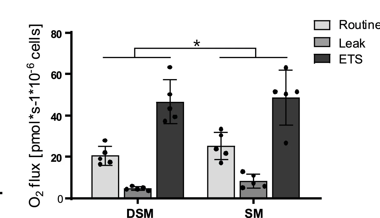 Open access visualization of Bar Plot, Error Bars, Scatter Plot, SM, DSM