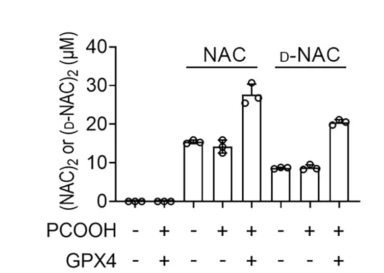 Open access visualization of Bar Plot, Error Bars, NAC, d-NAC, LC-MS/MS