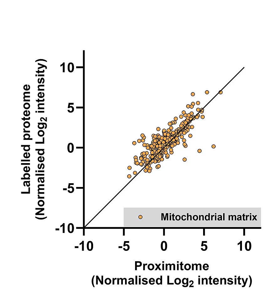 Open access visualization of Scatter Plot, Regression Plot, Proteins, Proximitome, Proteome