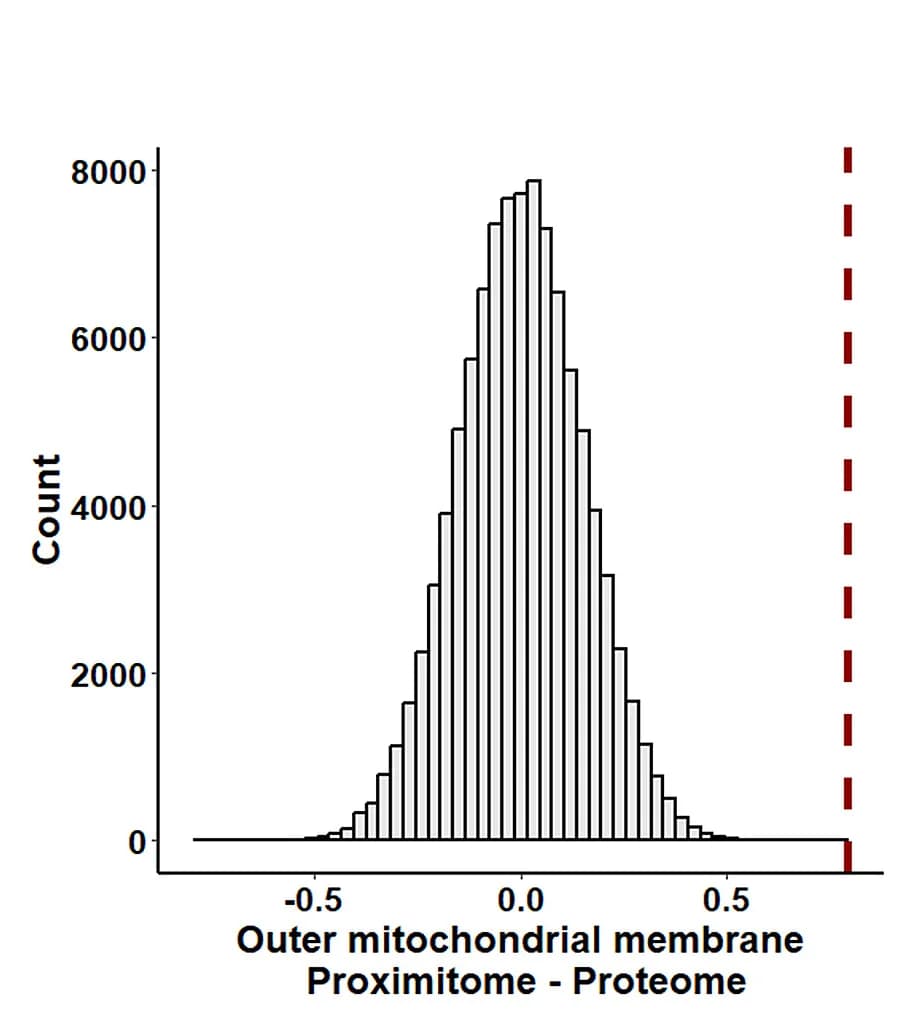 Open access visualization of Histogram, Permutation Analysis, Proximitome, Proteome, Mitochondrial Membrane Proteins