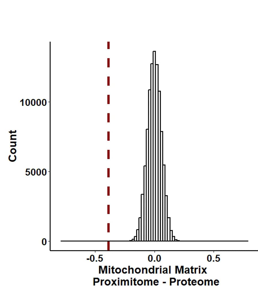 Open access visualization of Histogram, Permutation Analysis, Proximitome, Proteome, Mitochondrial Membrane Proteins