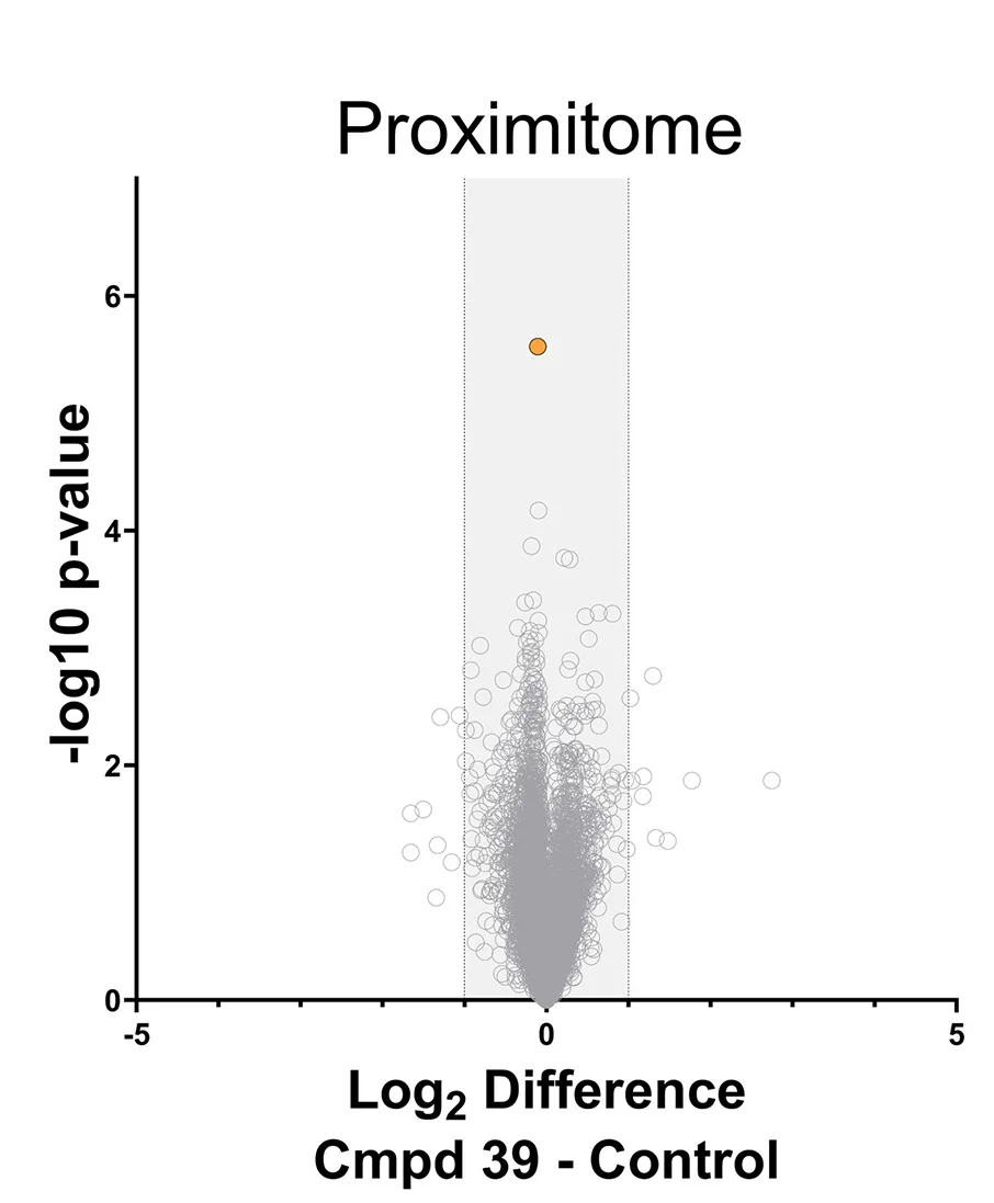 Open access visualization of Volcano Plot, Scatter Plot, Proximitome, Compound39, Protein Levels