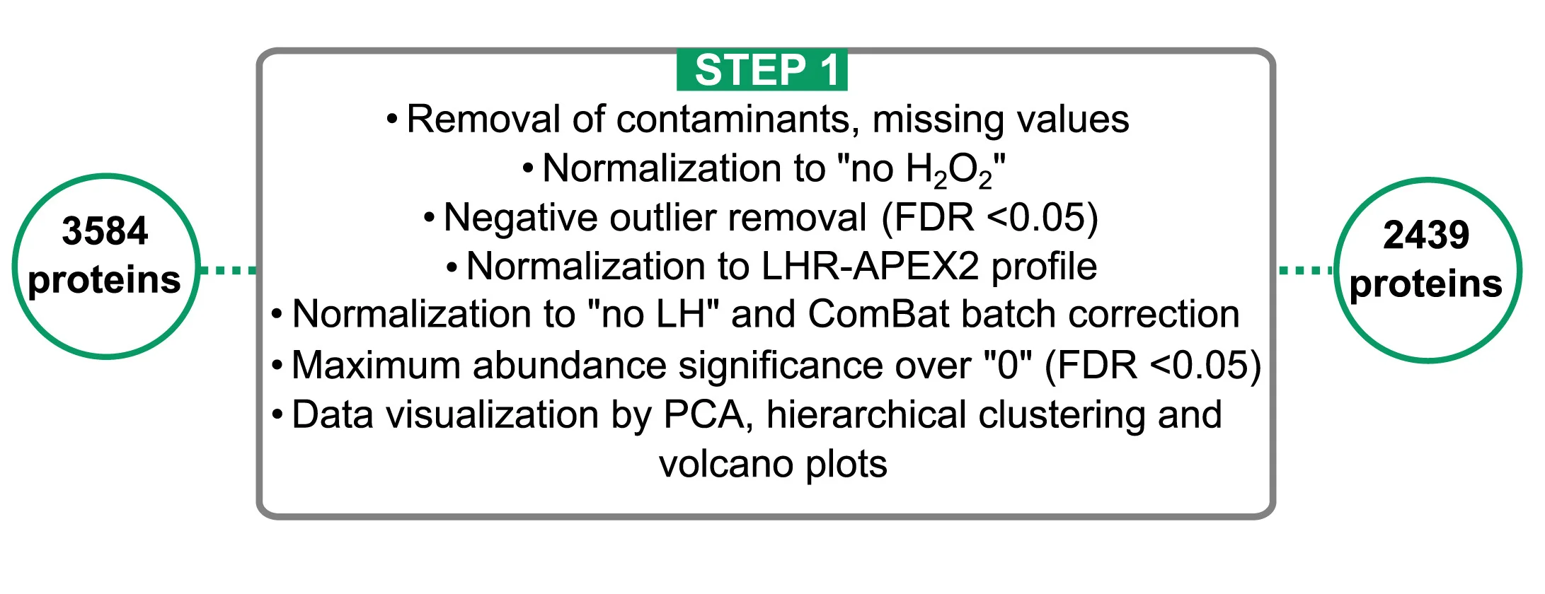 Open access visualization of Workflow, PCA, Volcano Plot, Clustered, Protein Filtration
